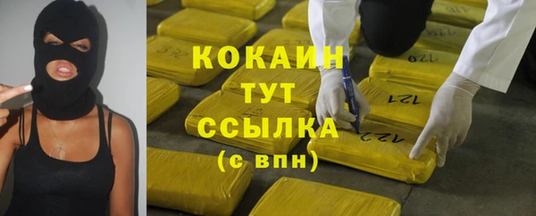 мет Ельня