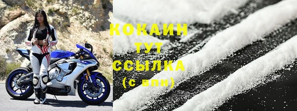 мет Ельня