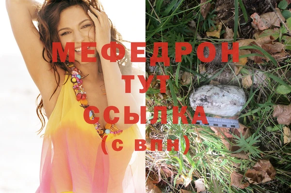 мет Ельня