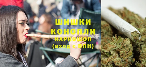 мет Ельня
