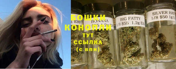 метадон Елизово