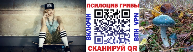Купить закладки Покровск Псилоцибиновые грибы ЛСД